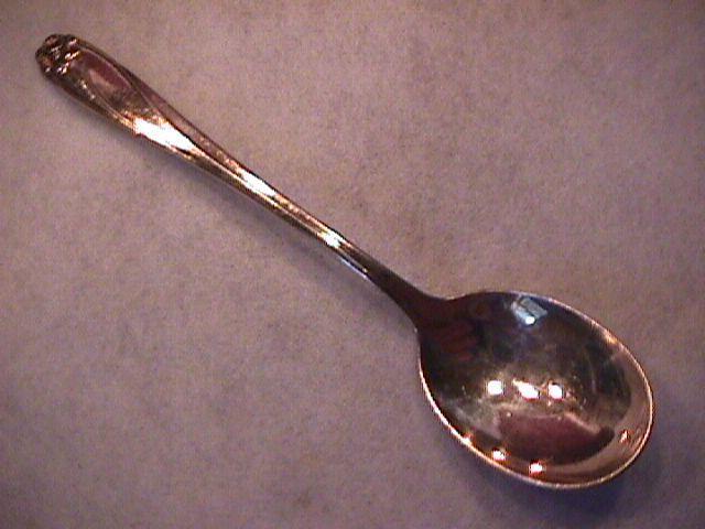 International/1847 Rogers Bros. (Daffodil) Sugar Shell