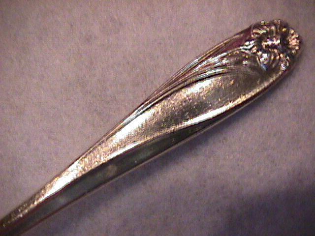 International/1847 Rogers Bros. (Daffodil) Sugar Shell