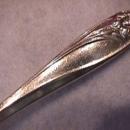 International/1847 Rogers Bros. (Daffodil) Sugar Shell