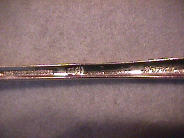International/1847 Rogers Bros. (Daffodil) Sugar Shell