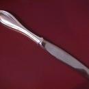 Oneida Silverplate (Silver Arbor) Dinner Knife