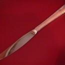 Oneida Prestige Plate (Bordeaux) 1945 Dinner Knife
