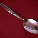 Oneida Stainless (La Rose) Teaspoon