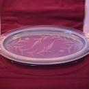 Rare= Fry Oven Glass Platter & Stand