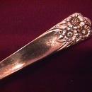International Silverplate (April) 1950) Dessert Fork