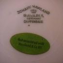 Johann Haviland (Chippendale Rose) Dinner Plate