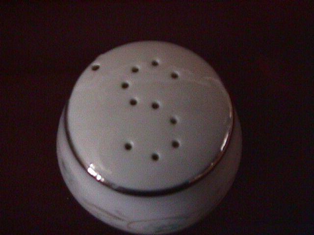 Fine China of Japan (English Garden) #1221 Salt Shaker