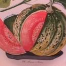 Portmeirion China (American Melon) Ham Platter