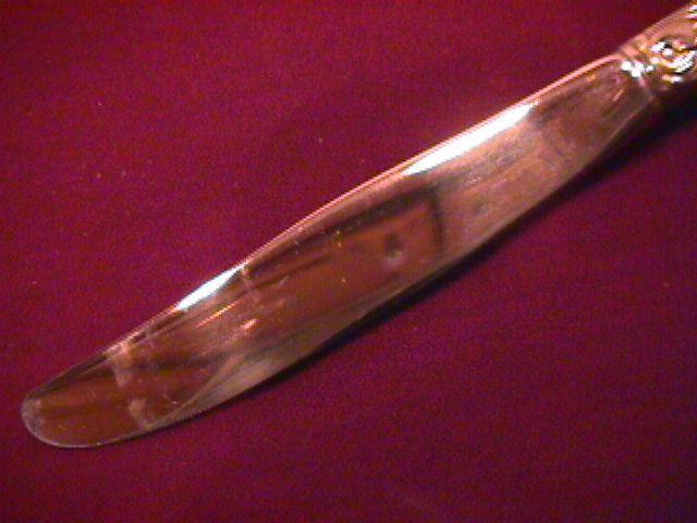 Oneida .W. M. Dalton Stainless (Brookwood) Dinner Knife