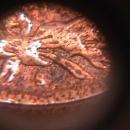 INDIAN HEAD COPPER ONE CENT 1908-S VERY GOOD DETAIL ,PITTED