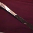 Oneida Community Stainless (Paul Revere) Dinner Knife