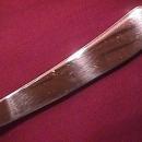 Oneida Community Stainless (Paul Revere) Dinner Knife
