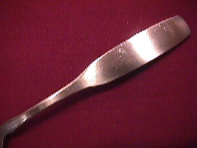 Oneida Community Stainless (Paul Revere) Dinner Fork