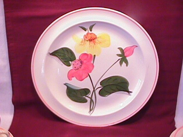 SOUTHERN POTTERIES / BLUE RIDGE SET of CHINA