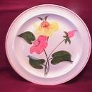 SOUTHERN POTTERIES / BLUE RIDGE SET of CHINA
