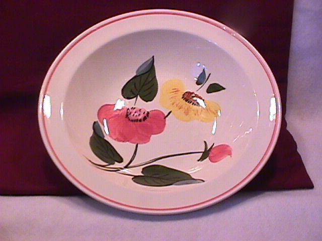 SOUTHERN POTTERIES / BLUE RIDGE SET of CHINA