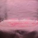 Mikasa (Rosella) Frosted & Clear- Pink- Canape Plate