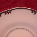 Mikasa Fine China (Marlboro) #9267 Cup/Saucer