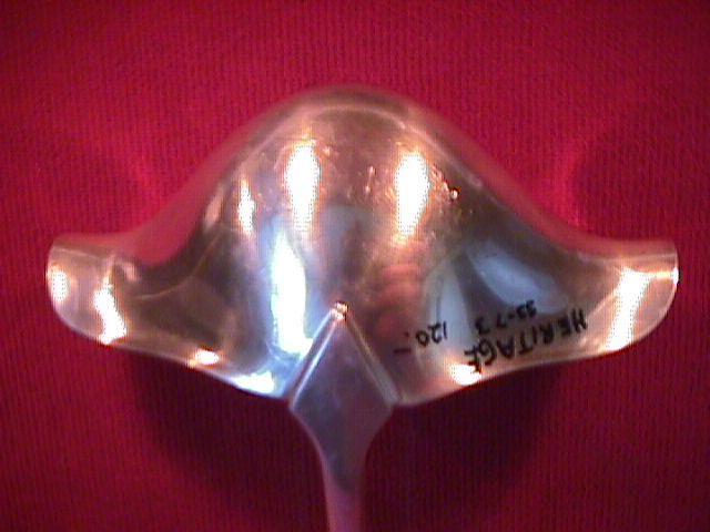International 1847 Rogers Brothers, Silverplate (Heritage) Punch Ladle