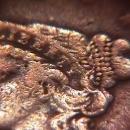 HALF CENT COPPER COIN BRAIDED HAIR-1855 VERY FINE-30 Condition