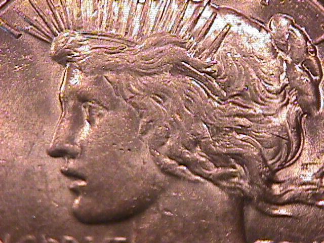Peace Type Silver Dollar 1927 MS #-64 Condition