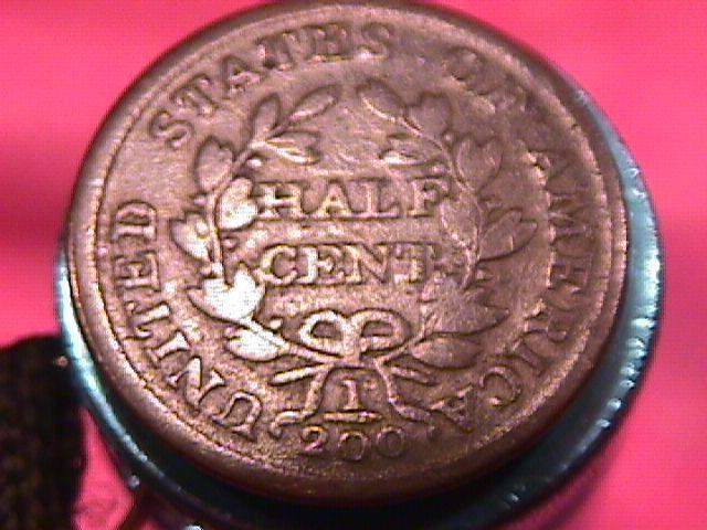 Draped Bust Copper Half Cent Coin Dated 1804 Fine-15 Condition