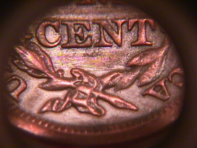 BRAIDED HAIR COPPER LARGE CENT DATED 1856 GRADED EXTREMELY FINE-45