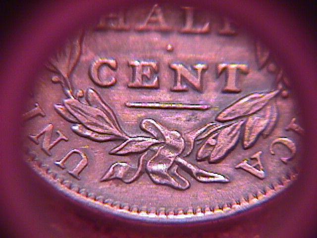 CLASSIC HEAD 1835 HALF CENT GRADED AU-50