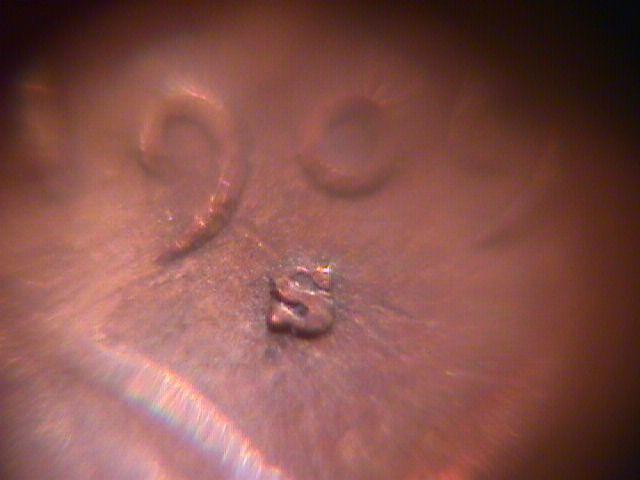 LINCOLN CENT