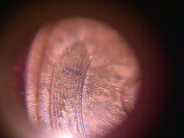 LINCOLN CENT