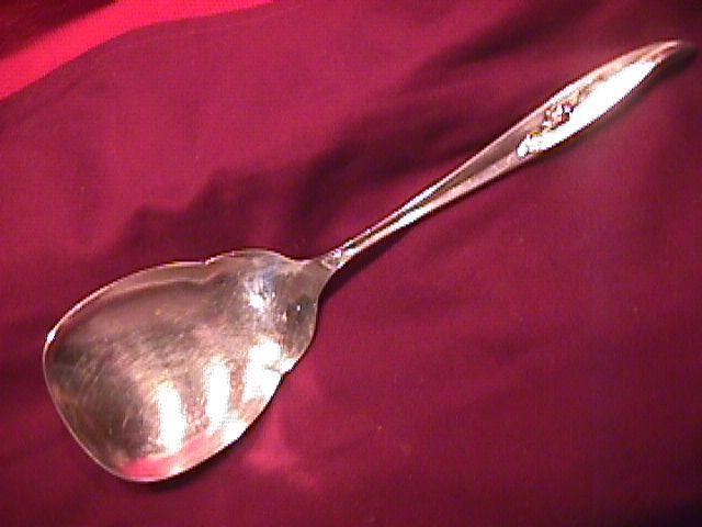 International Rogers 1847 (Magic Rose) Casserole Spoon
