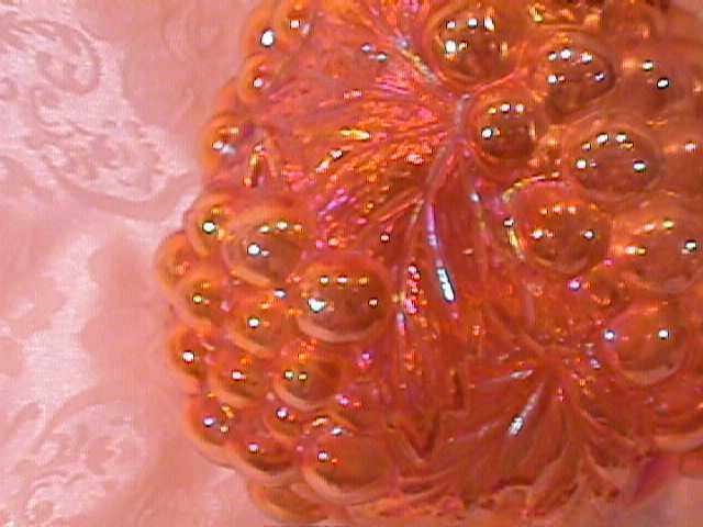 CARNIVAL