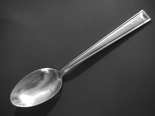 Gorham Stainless Marabella Table Serving Spoon