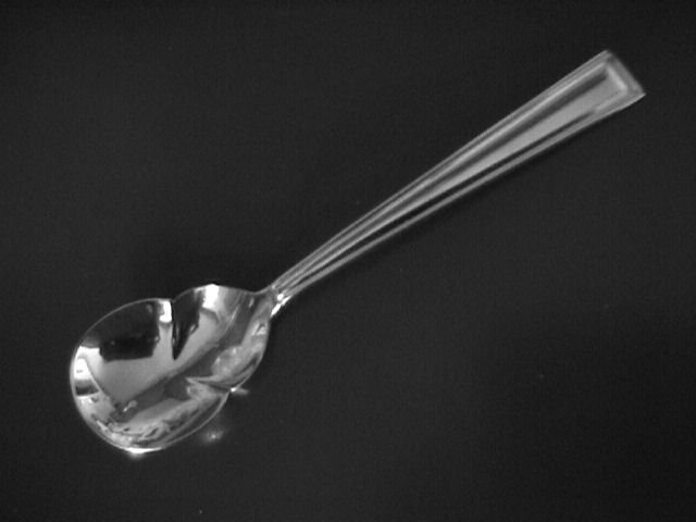 Gorham Stainless Marabella Sugar Shell