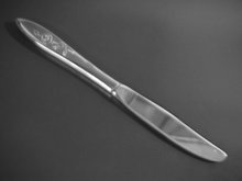 Oneida Community Stainless My Rose Dinner Knife