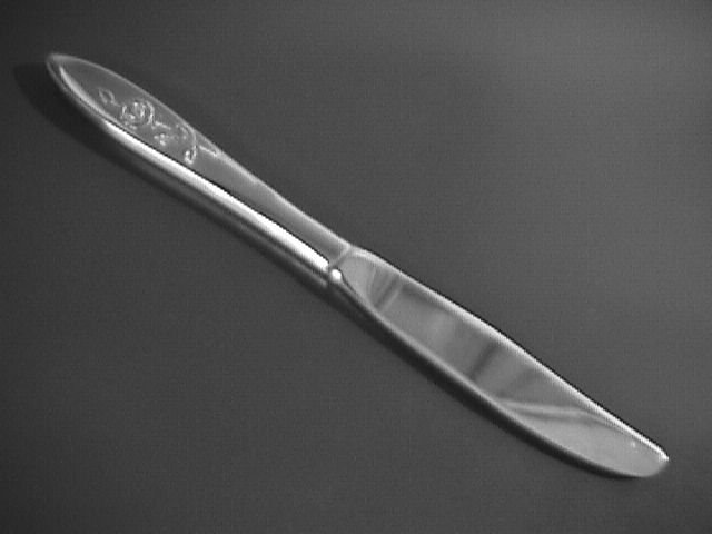 Oneida Community Stainless My Rose Dinner Knife