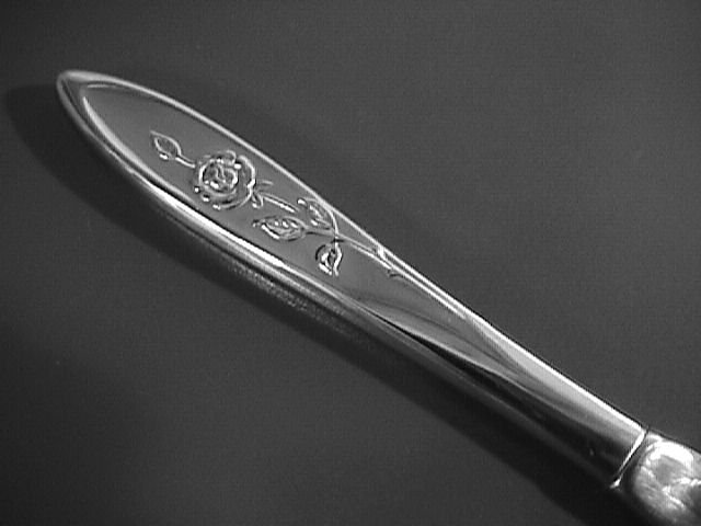 Oneida Community Stainless My Rose Dinner Knife