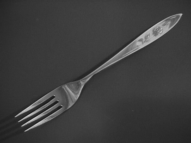 Oneida Community Stainless My Rose Dinner Fork