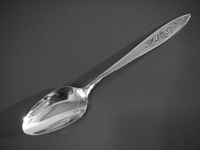 Oneida Community Stainless My Rose Teaspoon