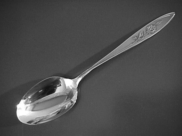 Oneida Community Stainless My Rose Place Spoon