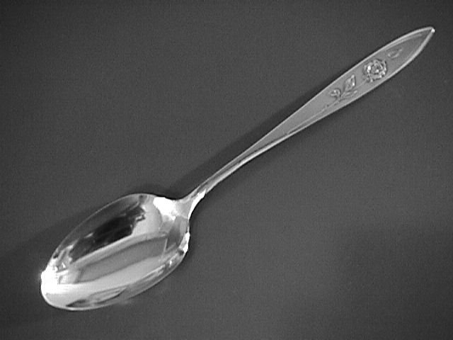 Oneida Community Stainless My Rose Table Serving Spoon