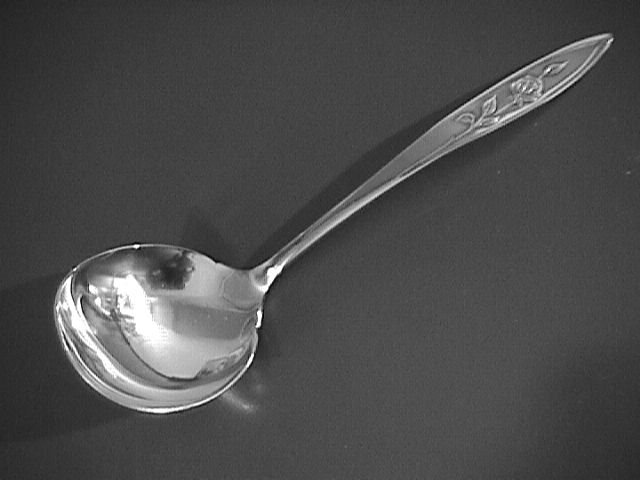 Oneida Community Stainless My Rose Gravy Ladle