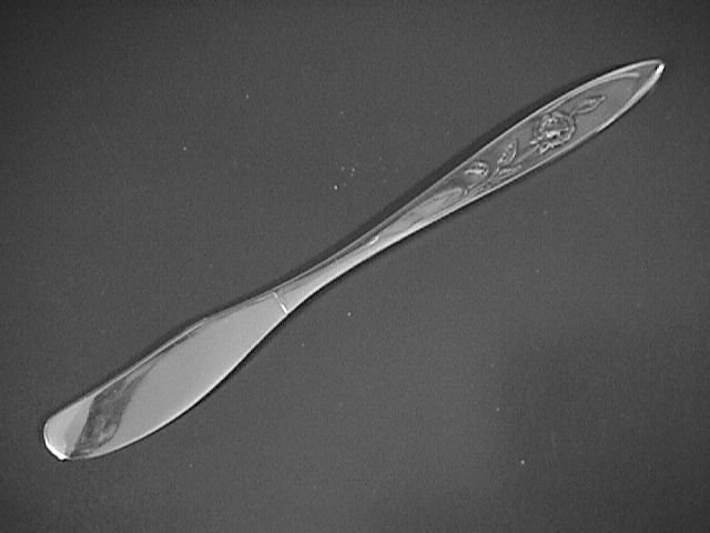 Oneida Community Stainless My Rose Individual Butter Spreader