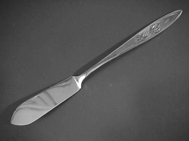 Oneida Community Stainless My Rose Master Butter