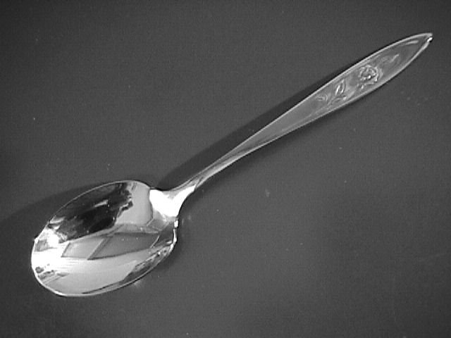Oneida Community Stainless My Rose Sugar Shell