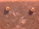 14k Gold & Genuine Pearl Earrings