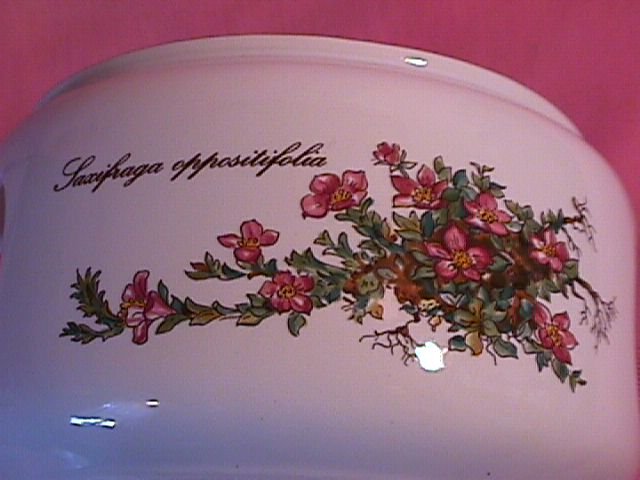 Villeroy & Boch