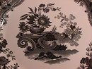 Spode Archive Collection