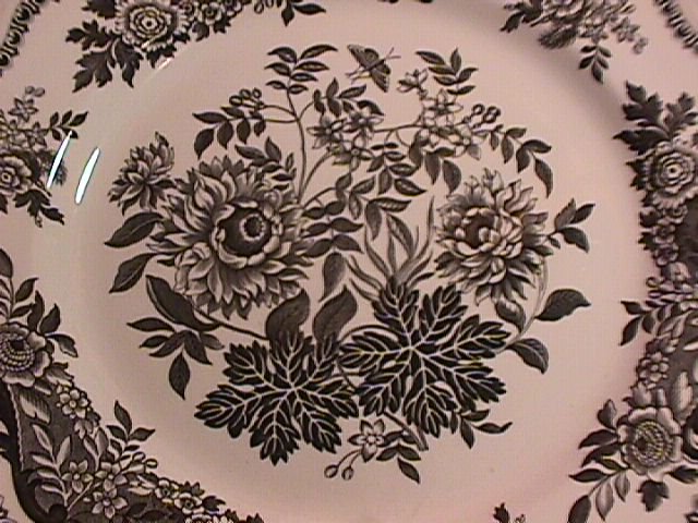 Spode Archive Collection