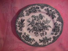 Wedgwood China